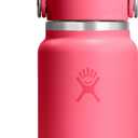 Hydro Flask Micro Bottle - Insulated Mini Leak Proof Flask for Purse or Pocket in 6.7 Oz Popstar Pink