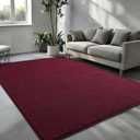 Pettop 5x7 ft Burgundy Red Area Rugs for Bedroom Living Room, Washable Memory Foam Indoor Carpet, Modern Aesthetic Minimalist Non Slip Soft Comfy Carpet for Boys Girls Dorm Home Decor