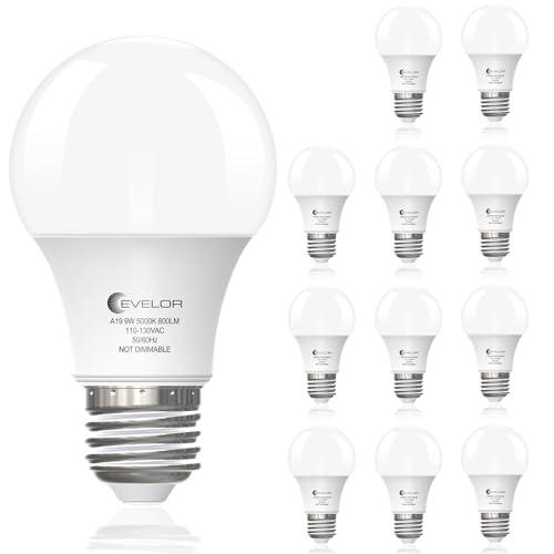 evelor A19 LED Light Bulbs,60 Watt Equivalent Daylight 5000K with E26 Base,Efficient 9W,800 Lumens Non-Dimmable LED Bulbs,15000 Hours, Ideal for Bedroom Living Room, 12-Packs