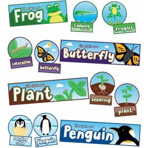 Carson Dellosa 55pc Bundle Life Cycles Biology Bulletin Board Set, Colorful Cardstock Plant and Animal Cards, Butterflies, Frogs, Penguin Cutouts, Science Teacher Supplies, Homeschool, Classroom Decor