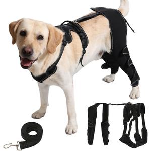 Dog Knee Brace with Adjustable Support Acl Hind Leg for Support with Cruciate Ligament Injury, Luxating Patella,Arthritis,Dog Acl Knee Brace with Dog Chest Harness (Black03), M