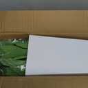 6FT Artificial Dracaena Tree - High-Density Foliage Fake Plant with White Tall Planter - Faux Yucca Floor Plant for Home Office Decor Indoor