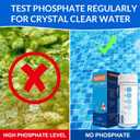Phosphate Test Kit - Pool Phosphate Test kit-50 Counts Phosphate Test Strips for Swimming Pool, Spa, Hot Tub,Aquarium,Fish Tank- Phosphate Test kit for Freshwater,Saltwater Testing