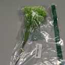 Grohealia Baby’s Breath Flowers Bulk – White Real Touch Gypsophila Bouquets Faux Baby Breath for Wedding Decor, Centerpieces, DIY Floral Arrangement, Party and Home Decorations (12Pcs)