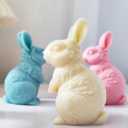 3D Rabbit Candle Silicone Molds Easter Bunny Resin Casting Mould for DIY Candle Making Polymer Clay Craft Plaster Home Decoration