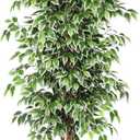 GTIDEA 6ft Artificial Tree Ficus, Tall Faux Trees Indoor with Natural Trunk and Fake Silk Tree Fake Plants for Home Winter Decor Living Room Outdoor Balcony House Office