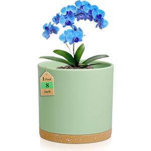 WSMKSZ 8 Inch Medium Flower Pots for Indoor Outdoor Plants, Cylinder Deep Plant Pots with Drainage Holes & Saucer, Decorative Plastic Planter Pots for Garden House Plants, Green with Brown