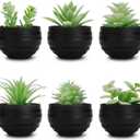 Der Rose Set of 6 Succulents Plants Artificial in Pots Small Fake Plants for Halloween Decorations Bedroom Living Room Office Shelf Black Bathroom Decor