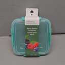 Berry basket container (Pack of 4)