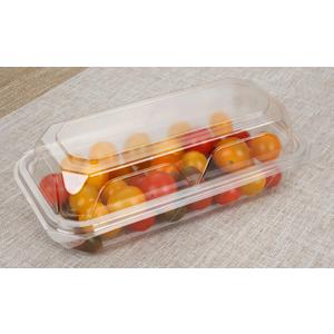 Golden Apple, Clear Plastic Square Hinged Food Container, 5" Length x 9" Width x 3" Depth, 20pieces