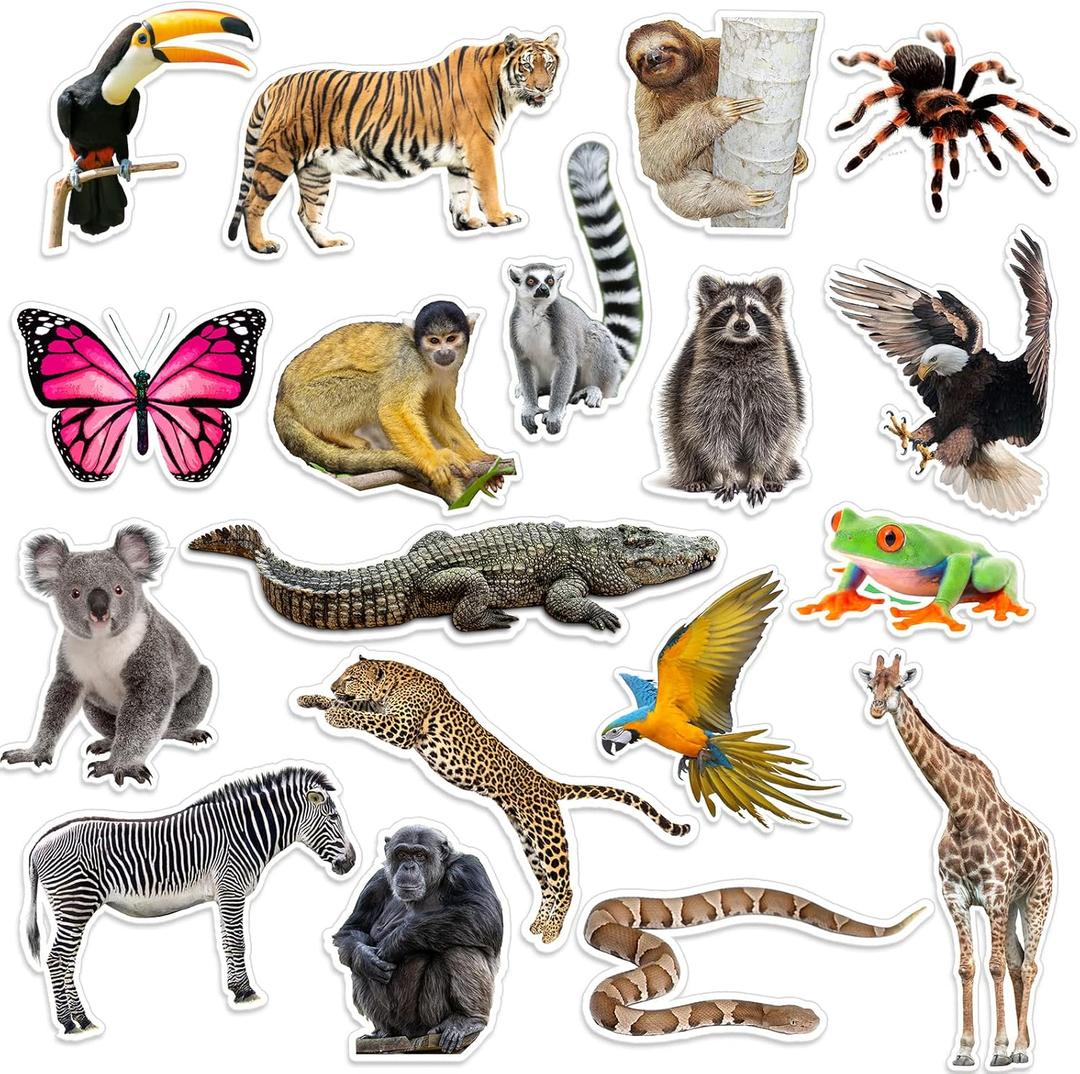 Fuutreo 36 Pcs Jungle Animals Cutouts Jungle Bulletin Board Decorations Realistic Rainforest Animals Figures Cutouts Jumbo Safari Cut Out Rainforest Bulletin Board Activities Party Decor