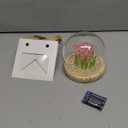 uolent Valentine's Day Gift for Women, Tulips Night Light - Glass Flower Lamp with Wooden Base, Unique Birthday Christmas Gift for Her, Wife, Girlfriend, Mom, Home Decor Nightlight (13 LED Colourful)