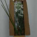 Babys Breath Artificial Flowers, 7Pcs White Baby Breath Flowers Artificial Bulk, Real Touch Faux Babys Breath, Fake Babies Breath Gypsophila for Wedding Floral Arrangement Party Home Decor