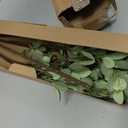 Sggvecsy 43 6Pcs Artificial Ficus Branches Faux Leaf Spray Green Eucalyptus Branches Artificial Greenery Stems Fake Ficus Twig Plants for Home Office Wedding Vase Filler Shop Decoration