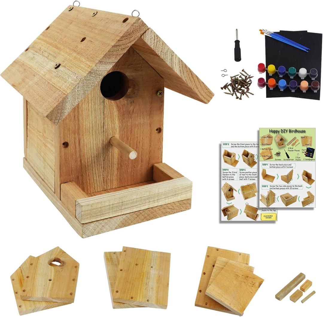 DIY Birdhouse Kit with Paint Set - Kids' Wood Craft Kits - Make a Bird House Kit for Kids - DIY Woodcraft Building Projects for Kids and Adults- STEM Teaching Tools