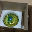 Tulip Lamp Shades Replacement, 5" Dia. * 4.25" H Green Glass Sconce Shade Heavy and Thick for Wall Sconces Pendant Lights Ceiling Lights Chandelier, 1 Pack