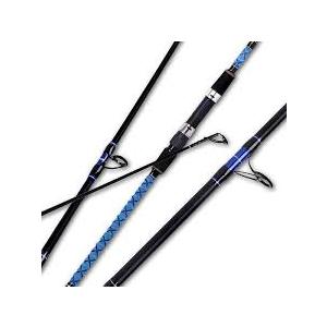 Fiblink Surf Spinning Fishing Rod 4-Piece Graphite Travel Fishing Rod(11 Feet), Blue