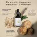 Focus & Energy Natural Mushroom Tincture - Adaptogenic Mushroom Drops & Organic Blend - Supplement for Immune Boost, Balance, Calm, Cognitive Support, and Stress (2oz)