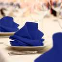 Avalon Kitchen Royal Blue Cloth Napkins Bulk (Pack of 24) - 100% Polyester Dinner Linen Napkins Cloth Washable & Reusable - Durable with Hemmed Edges - Ideal for Parties and Weddings (17x17 Inches)
