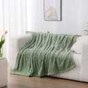 Sage Green Fleece Throw Blanket 5060 for Couch Sofa Bed,Super Soft Cozy Plush Microfiber Flannel Blanket with Stripes Design Lightweight for Adults,Woman's, Girls
