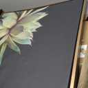 Kate and Laurel Sylvie Succulent Plant Framed Canvas Wall Art, Botanical Green with Black Background, 18x24 Gold, 18" x 24" 1.6"