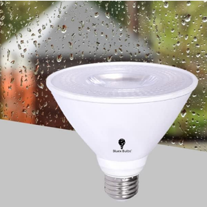 4 Pack PAR30 Short Neck LED Flood Light Bulb 10W 75 Watt Equivalent 850 Lumens Waterproof E26 3000K Warm White Super Bright PAR30 LED Bulb for Security, LED Spotlight Bulb, LED Recessed Light Bulbs