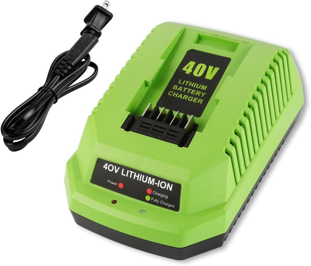 40V Charger Replacement for Greenworks 40 Volt Battery Charger Lithium Ion 29482 29252 20202 22262 29472 29462 Compatible with 40V G-MAX Power Tools (Not for 29662)