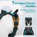 rabbitgoo Dog Harness No Pull with 2 Leash Clips, Adjustable Soft Padded, Reflective Oxford No Choke Pet Vest with Easy Control Handle for Dogs, Teal, Large