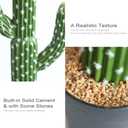 momoplant Artificial Cactus Succulent Plant, 34 Inch Tall Faux Fake Desert Cacti Plant with Black Planter for Home Garden Office Floor Decor