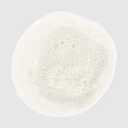 Paul Mitchell Clean Beauty Color Protect Shampoo, Gently Cleanses, Protects Hair Color, For Color-Treated Hair