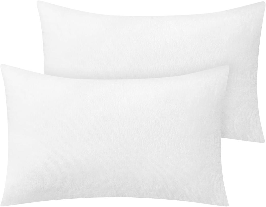 BEDELITE Flannel Pillow Cases Queen Size Set of 2, Super Soft Fleece Pillowcases with Zipper for Bedroom, Sofa, Couch,Luxury Cozy Velvet Pillow Shams for All Seasons(20x30 Inches, Bright White)