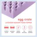 Best Price Mattress 3 Inch Egg Crate Memory Foam Mattress Topper with Soothing Lavender Infusion, CertiPUR-US Certified, Dorm Essentials, Twin