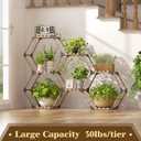 Tikea Plant Stand Indoor Outdoor Hexagonal Plant Stand for Multiple Plants Indoor Large Wooden Plant Shelf 7 Tiered Creative DIY Flowers Stand Rack for Living Room Balcony Patio Window