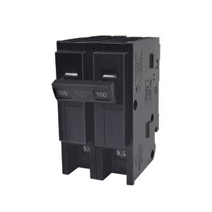 100 Amp 2 Pole Breaker,Replace for HOM2100 Circuit Breaker,100 Amp 2 Pole,120/240V,Compatible with Most Load Centers.Plug-in Circuit Breaker,Thehermal Magnetic Protection