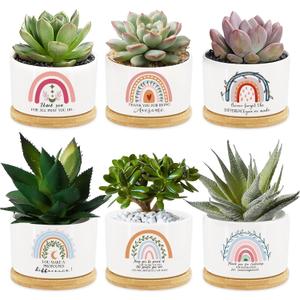 Tarklanda 6Pcs Thank You Teacher Gift Rainbow Succulent Plant Pots Mini Ceramic with Bamboo Tray Flower Pot Planters for Colleague Employee Friend Appreciation Thanksgiving, Plants Not Included