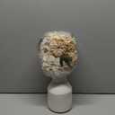 Mkono Small Artificial Flowers in Ceramic Vase Centerpieces Coffee Table Decor, Silk Flower Arrangements for Home Decor Indoor Fake Flower Bouquet for Bathroom Dining Room Kitchen (Brown, Medium)