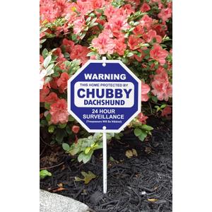 Imagine This S3862 Security Sign