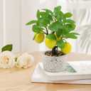 Woration Artificial Potted Plants Fake Yellow Lemon Tree Bonsai Decoration Faux Fruit Greenery with Pot Indoor for Home Office Living Room Table Ornaments, Lemon