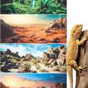 Breling 4 Pcs 36 x 18 Inch Reptile Habitat Background with Nano Glue Gobi Sun Cactus Stone and Green Tree Fern Stream Bearded Dragon Terrarium Background Polyester Durable Aquarium Accessories