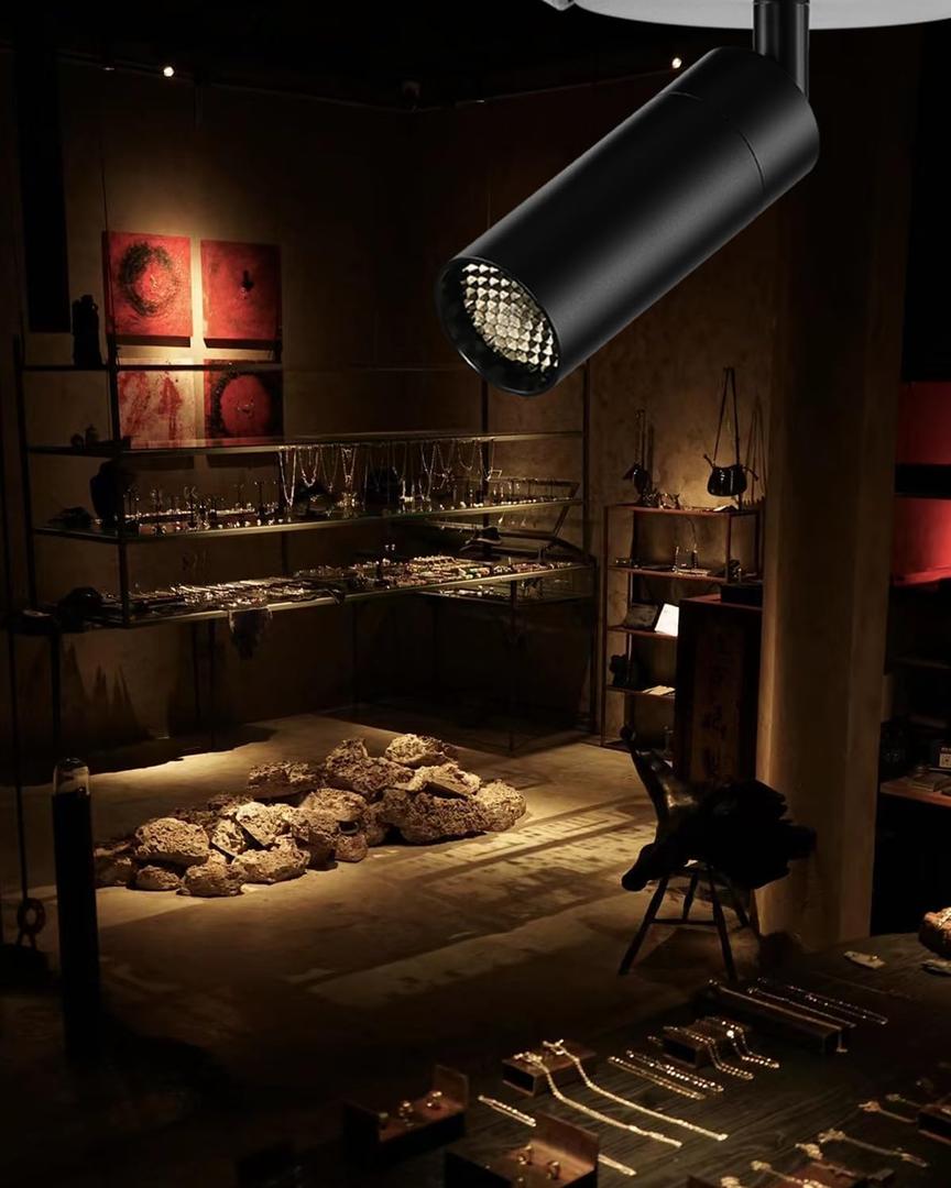 Zoomable LED Ceiling Spotlight Fixture, Flush Mount Adjustable Spotlight, Indoor Bright Accent Monopoint Fixture for Living Room Bedroom Loft Cafe Bar (10W-2700K, Embedded-Black)