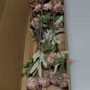 Floroom 5pcs Light Taupe Faux Silk Mums Artificial Flowers, Bulk Fake Small Mini Chrysanthemums with Stems for DIY Wedding Centerpieces Floral Arrangements Vase Fillers Home Decorations