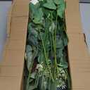 110 Pcs Artificial Eucalyptus Stems and Faux Flowers, 5 Kinds Greenery Stems Bulk, Fake Silver Dollar Eucalyptus Leaves Artificial White Roses for Wedding Decor Vase Centerpieces DIY Bouquet