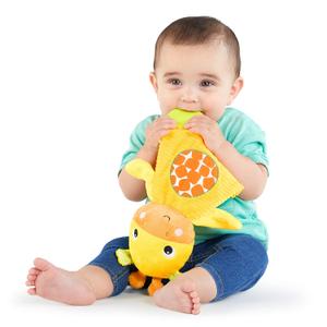 Bright Starts Snuggle & Teethe BPA-free Crinkle Teething Plush Baby Toy - Giraffe (1 Count (Pack of 1))