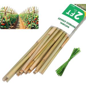 2ft Natural Bamboo Plant Stakes for Tomatoes, Beans, Flowers, Potted, Climbing Plants 30pcs
