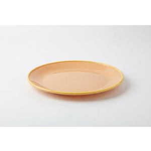 10 Classic Round Plastic Plate – Shatterproof Tableware for Kitchen, Picnic, and Camping