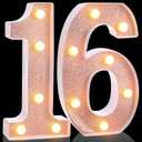 Treela 8.7'' Birthday Decorative LED Light up Numbers, Glitter Marquee Number Sign for Night Birthday Party Decorations Anniversary Bar LED Sign Backdrop Wall Table Centerpieces(16th,Rose Gold)