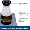 PetSafe Healthy Pet Food Station - Small, 2 lb Kibble Capacity - Gravity Pet Feeder Dry Food Dispenser - Automatic Cat Feeder or Small Dog Feeder - Removable Stainless Steel Bowl Included