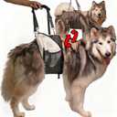 Dual-use Dog Lift Rehab Hareness Canine Sling for Large Pooch Rear Legs and Hip Support,Adjustable and Soft Brace Strap for After ACL Surgery, Helps Senior, Injured and Disabled K9 - Medium