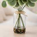 MACTING Artificial Eucalyptus Stems in Glass Vase with Faux Water Stones 14" Artificial Plants Indoor Eucalyptus Leaves for Table Centerpieces Bathroom Kitchen Home Spring Decorations(Gradient Green)