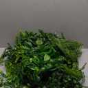 Der Rose 8Pcs Fake Hanging Plants in Black Pots Artificial Ivy Vines Faux Eucalyptus Plants for Bathroom Bookshelf Wall Shelf Decor Indoor